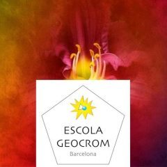 Escola Geocrom